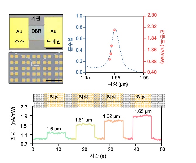 Implementation of next-generation semiconductor devices with selective reactivity in the form of an array