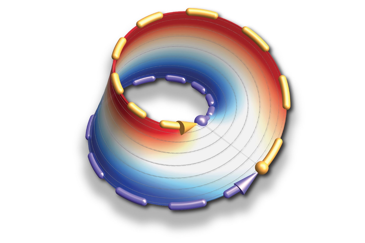 A Möbius band is a topologically non-trivial loop: If the allowed energies of the laser light follow this loop, they do not return to their initial values after one round