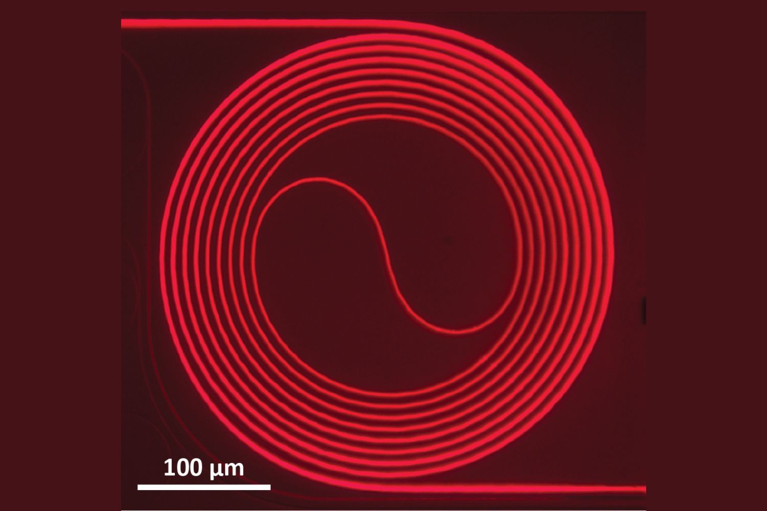 Optical image of the Ti:sapphire waveguide amplifier. This one fits in a 0.5 mm square.