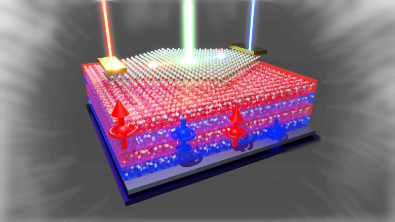 Observation of the magnetic bulk photovoltaic effect in the heterostructure device