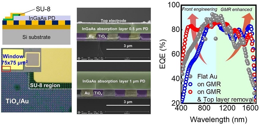 Top optical microscope image and cross-sectional scanning electron microscope image of the InGaAs photodiode image sensor fabricated on the GMR structure