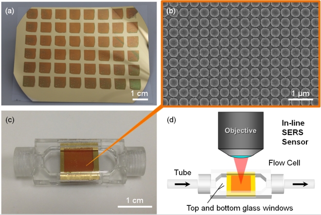 The surface of the new drug sensor made from a flexible plastic sheet covered with gold dom