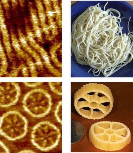 Images of molecules for light-emitting diodes on the left are compared with similar shaped pasta on the right
