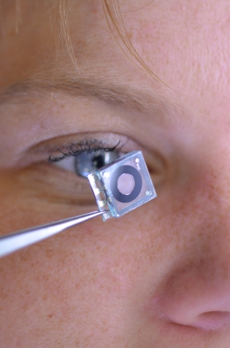 The iris component of the new imaging system, next to its human counterpart