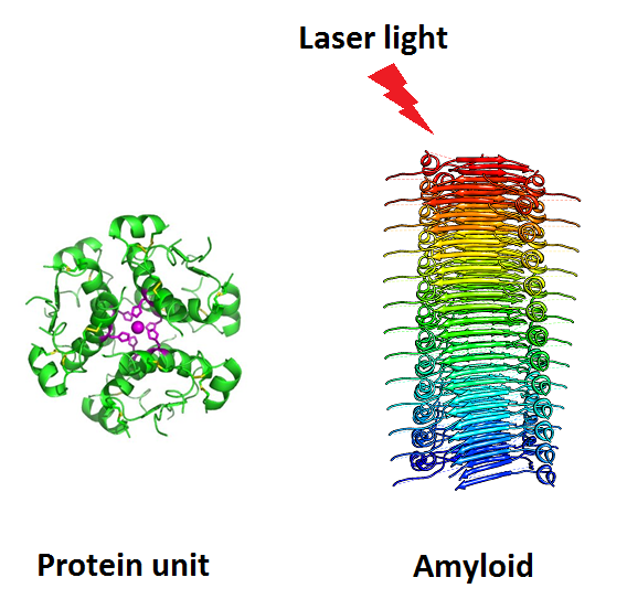 Drawing representing structure of properly functioning protein (left) which is optically invisible to high power laser light, and toxic amyloid (right) responsible for brain diseases that might potentially be cured using lasers in photo therapies