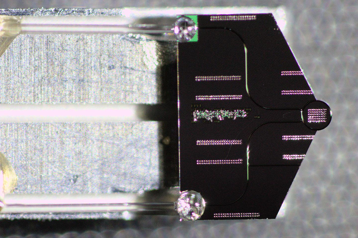 Photonic chip used in this study, mounted on a transmission electron microscope sample holder and packaged with optical fibers