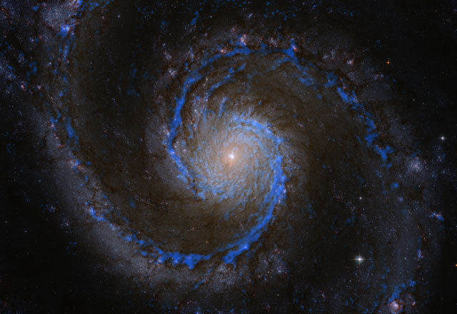 Molecular clouds in a whirlpool: The blueish features show the distribution of hydrogen molecules in M51, the raw material for forming new stars
