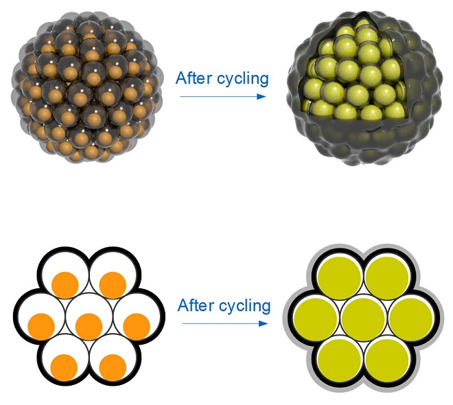 Top: Silicon nanoparticles are encased in carbon “yolk shells” and clustered like seeds in a pomegranate. Each cluster has a carbon rind that holds it together, conducts electricity and minimizes reactions with the battery’s electrolyte that can degrade performance. Bottom: Silicon nanoparticles swell during battery charging to completely fill their yolk shells; no space is wasted, and the shells stay intact.
