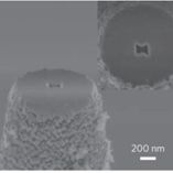 Electron beam microscopy image of the extremity of the plasmon nano-tweezers