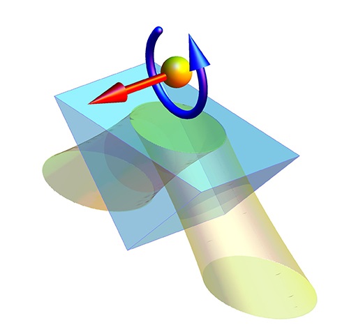 Transverse force and torque on a particle in evanescent field generated from a total internal reflection in a glass prism. These reveal the presence of the transverse momentum and spin in the evanescent wave above the prism