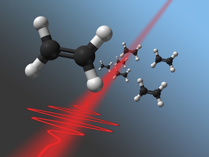 Short laser pulses interacting with ethylene