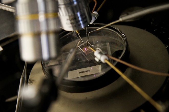 University of Utah electrical engineers test a microplasma transistor by applying a voltage through four electrodes touching the surface of the transistor
