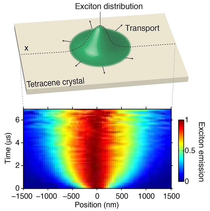 Diagram of an exciton within a tetracene crystal, used in these experiments, shows the line across which data was collected