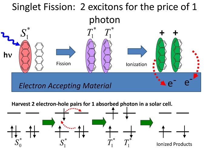 Singlet fission is a process in which a single photon generates a pair of excited states