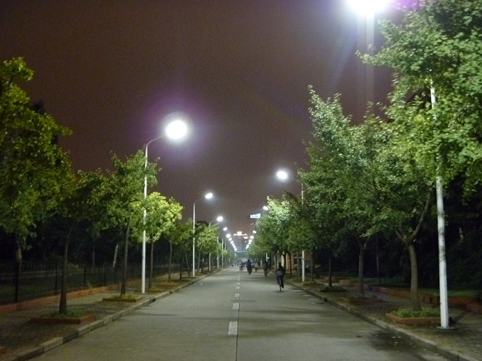 This photo shows a road with LED streetlamp glare where the researchers validated their laboratory findings