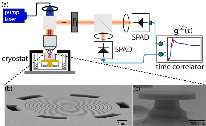 Experimental apparatus used to investigate quantum dot blinking