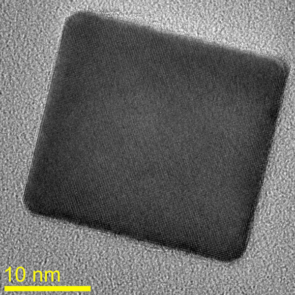 The palladium nanocubes viewed through a transmission electron microscope