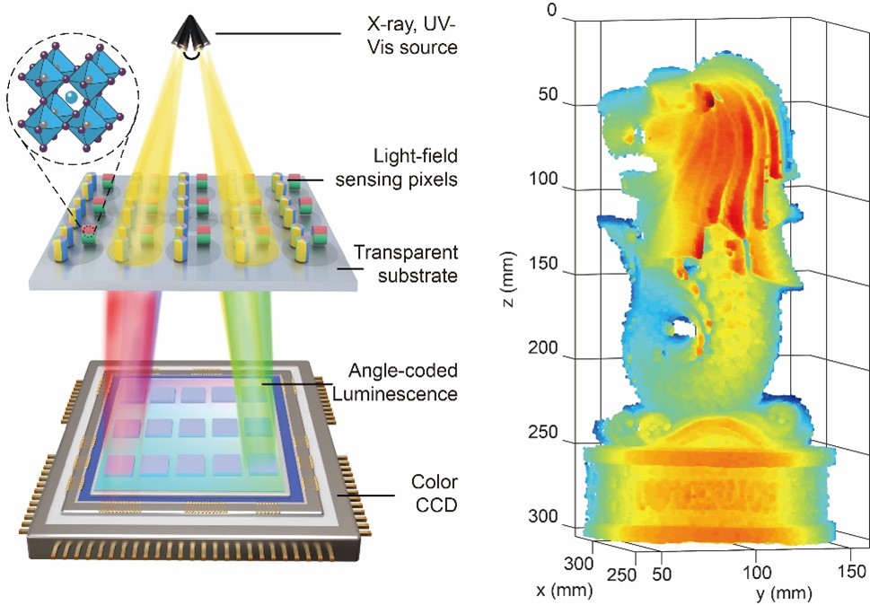 Figure showing the design and output of 3D light-field sensor.