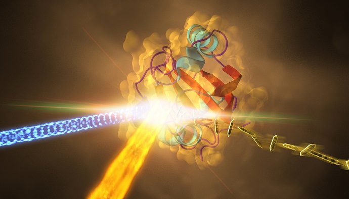 the image rendering depicts an experiment at SLAC that revealed how a protein from photosynthetic bacteria changes shape in response to light