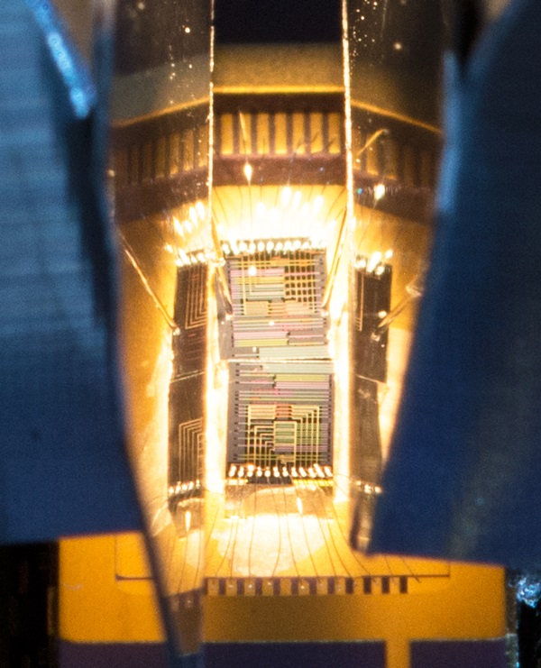 A chip on which the photonic thermometer devices are etched