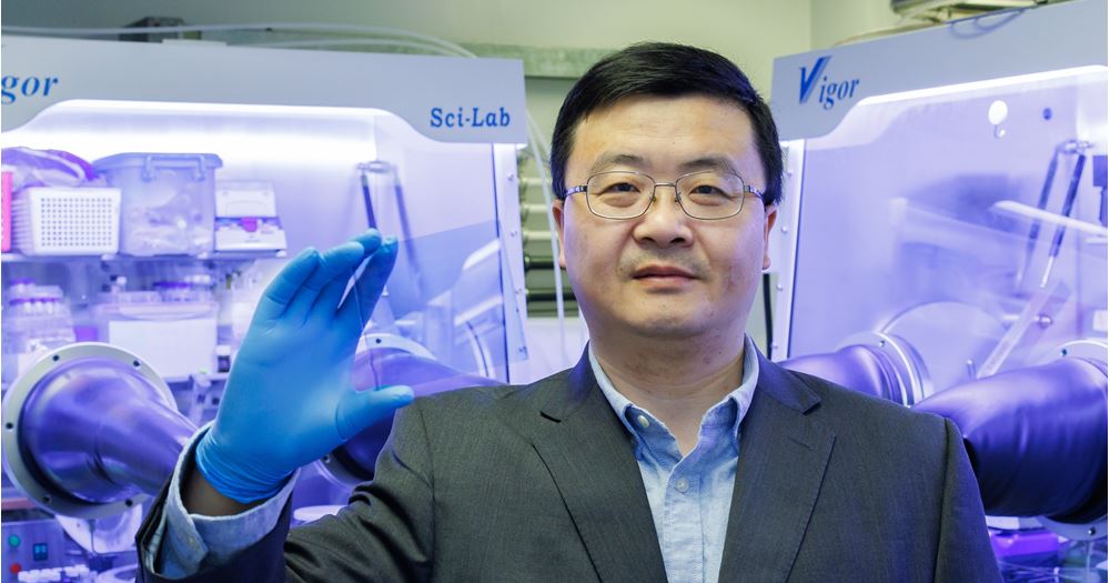 A research team led by Prof. Li Gang, Chair Professor of Energy Conversion Technology and Sir Sze-yuen Chung Endowed Professor in Renewable Energy of the PolyU Department of Electrical and Electronic Engineering, has developed an innovative parameter, FoMLUE, to evaluate the potential of photoactive materials for semi-transparent organic photovoltaics, paving the way for their widespread commercial applications.