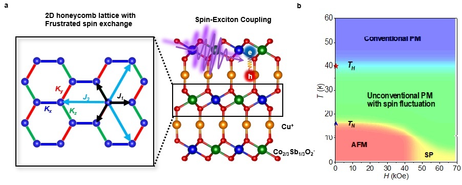 Figure 1. Schematics of spin exchange interaction, spin-exciton coupling and the phase diagram of Cu3Co2SbO6.