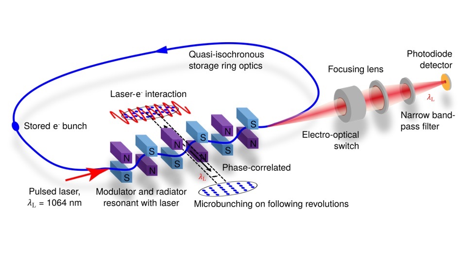 A pulsed laser co-propagates with the electron beam through the MLS U125 undulator and imposes an energy modulation