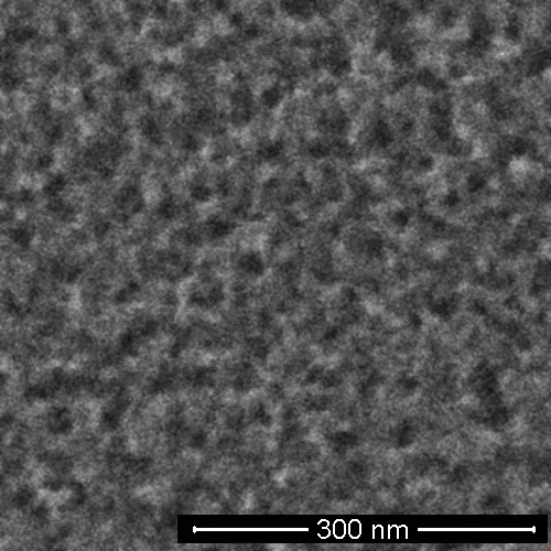 An electron microscope image