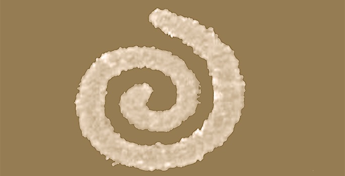Scanning electron microscope image of an individual nano-spiral