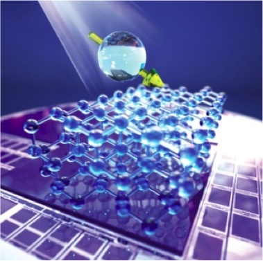 Light polarizes silicon nuclear spins within a silicon carbide chip