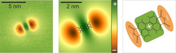 The scanning quantum dot micrograph of a PTCDA molecule reveals the negative partial charges at the ends of the molecule as well as the positive partial charges in the centre