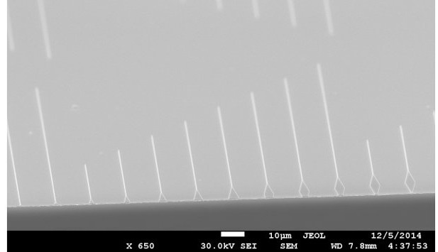 Nanoscale plasmonic waveguides under the scanning electron microscope