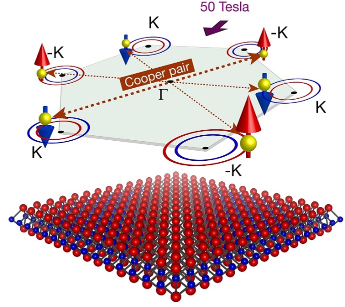 Unconventional Cooper pairs protected by spin-valley locking in superconducting MoS2