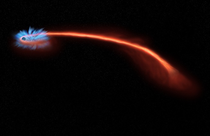 Astronomers have observed material being blown away from a black hole after it tore a star apart