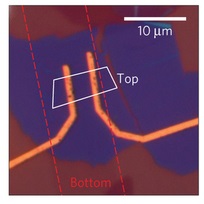 Optical image of a G–BN–G device