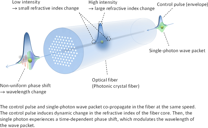 Single-photon wavelength conversion in an optical fiber