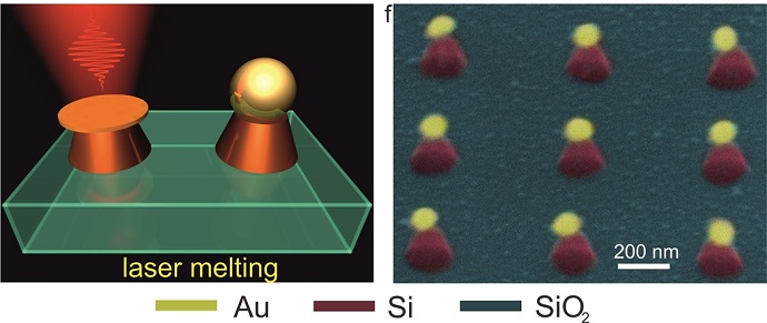 SEM image of fabricated nanoantennas