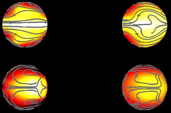 Surface composition determines temperature and habitability of a planet