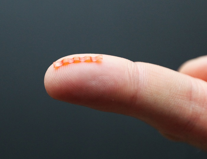 The caterpillar micro-robot sitting on a finger tip