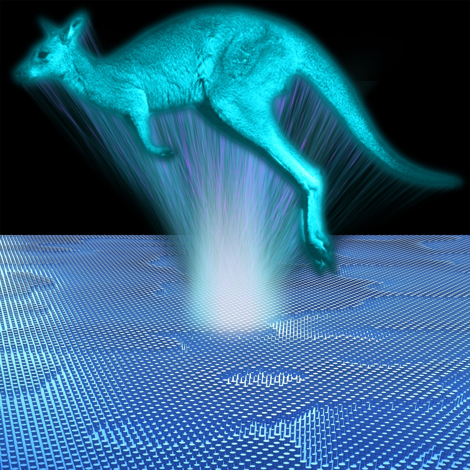 The image of the kangaroo is a concept image of the hologram