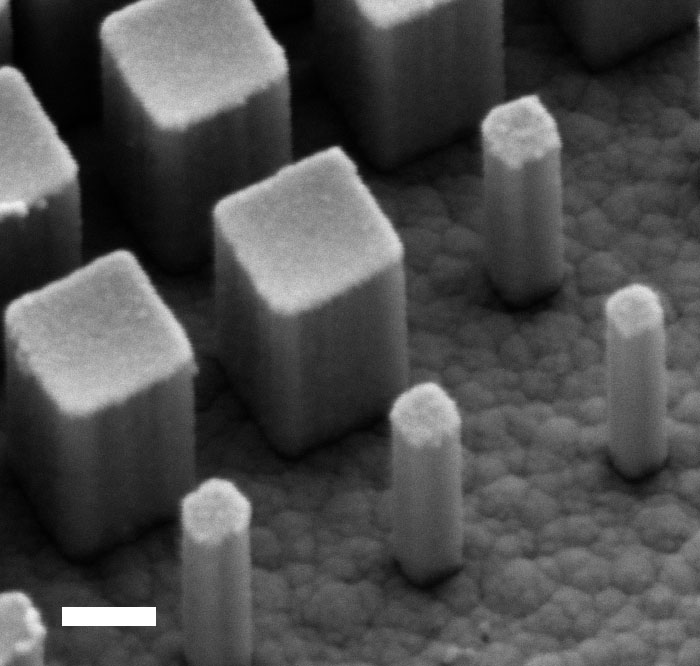 A scanning electron microscope image shows a side-view of the metalens