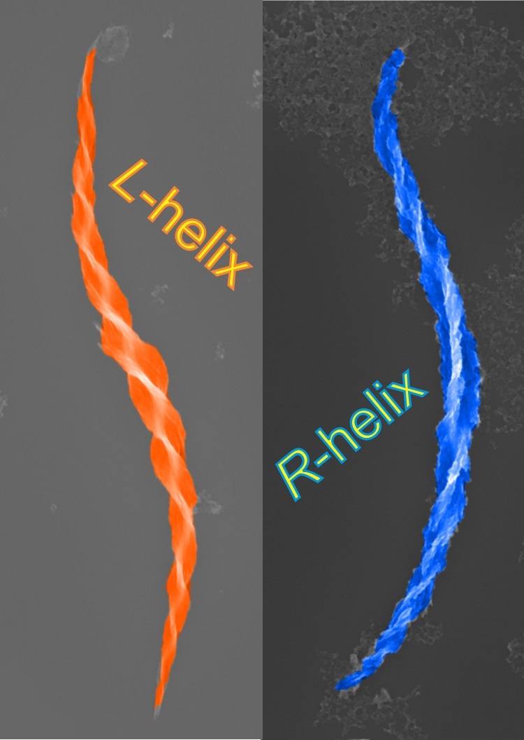 Scanning electron microscopy images of left- and right-handed helices