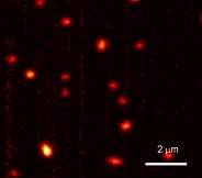 Physicists image individual molecules by watching them absorb light