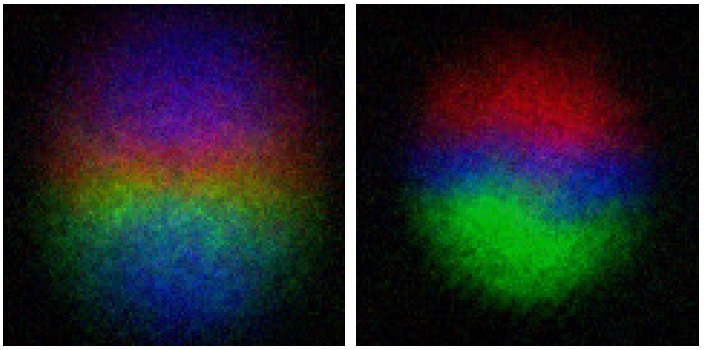 Experimental side image of the quantum monopole on the left.