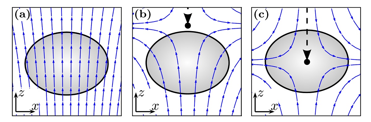 Schematic illustration of the creation process of the quantum monopole.