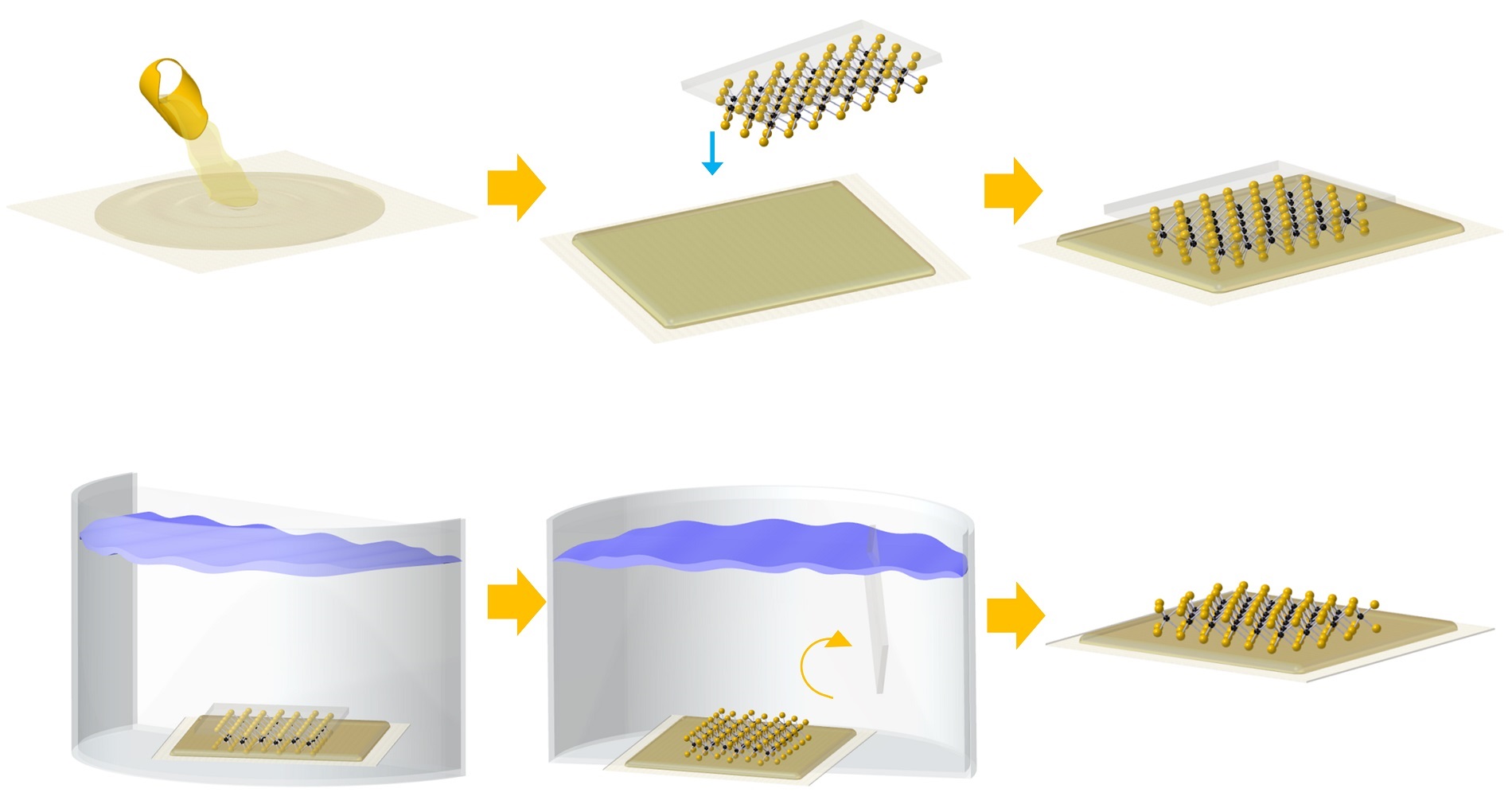 2D semiconductor transfer process