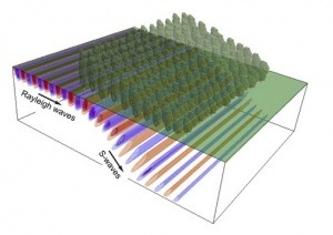 Cutting forests in certain shapes could even slow seismic waves