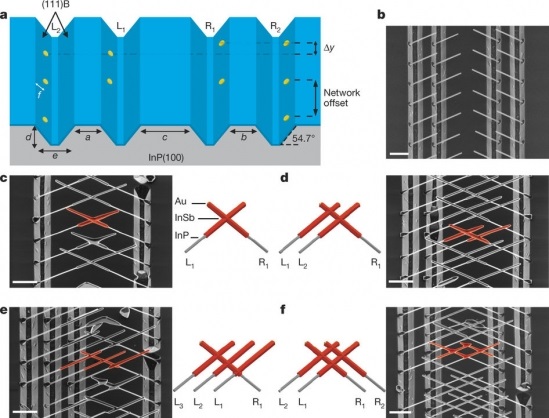 Deterministic growth of InSb nanowire networks