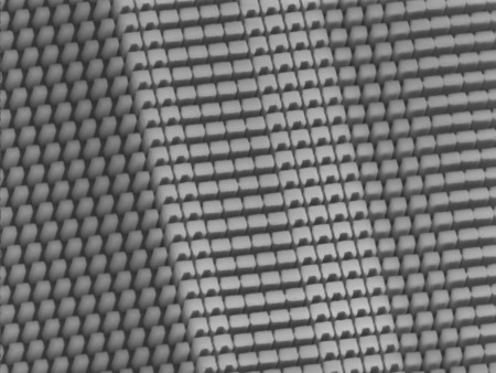 Nanoposts of varying shapes can act as pixels in two different holograms