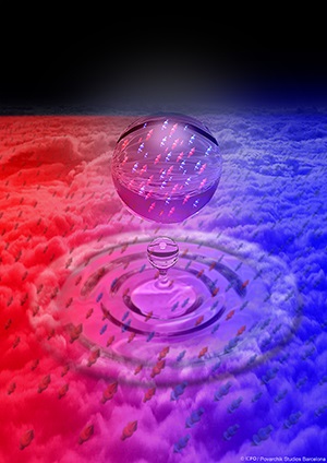 Quantum Liquid Droplets
